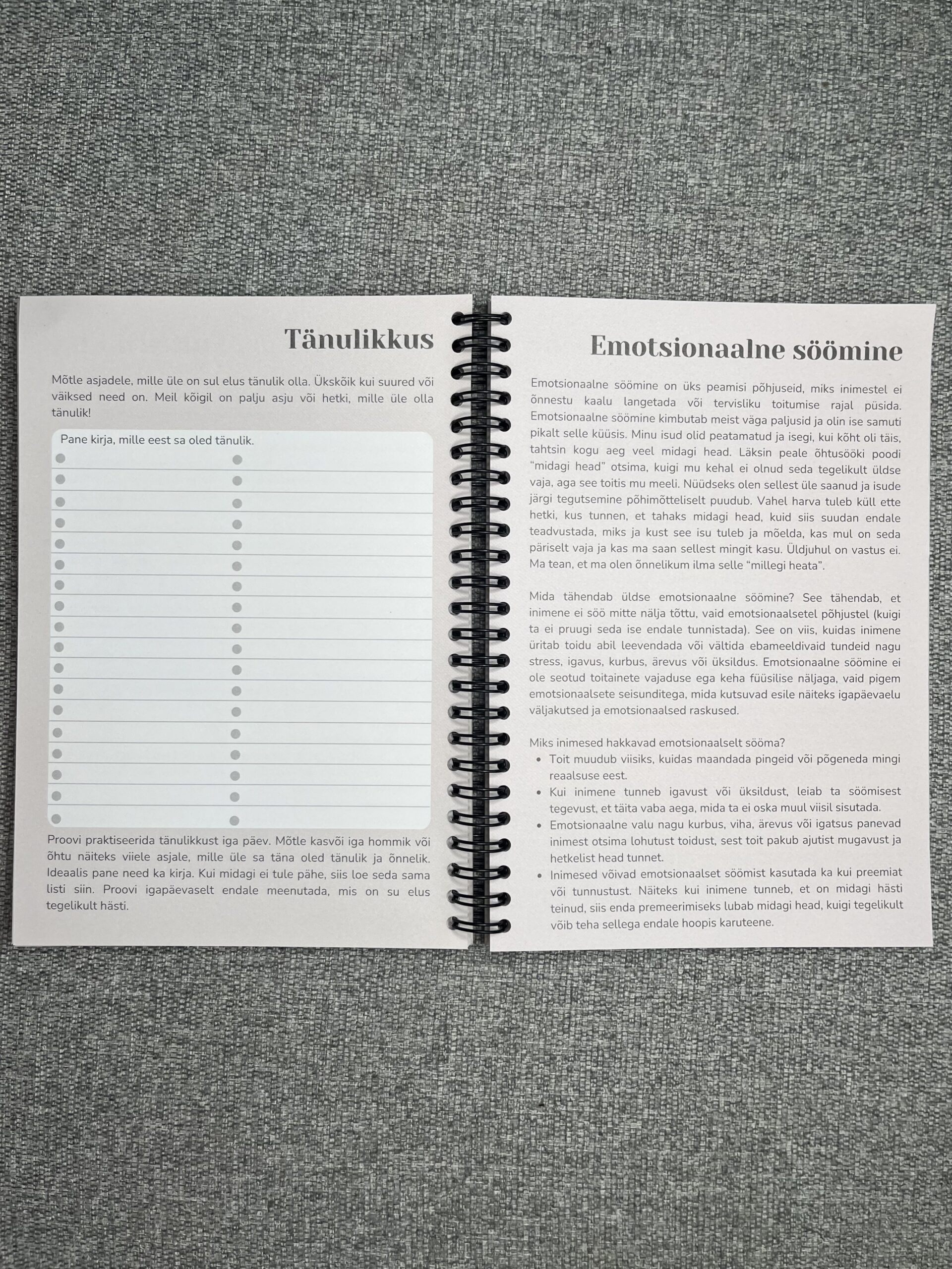 Enesearmastusepäevik - Pilt 7